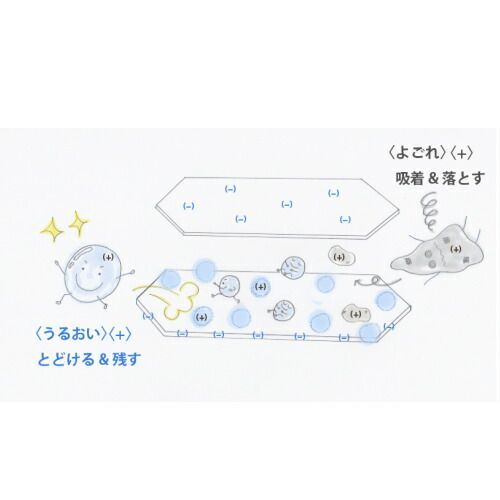 10本セット ボディクレイ