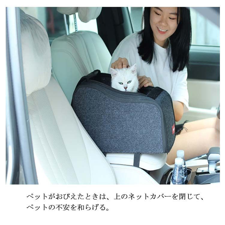 車載
