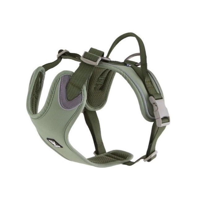 公式 エーフィgx チャンピオンズリーグ2018 プロモ psa10