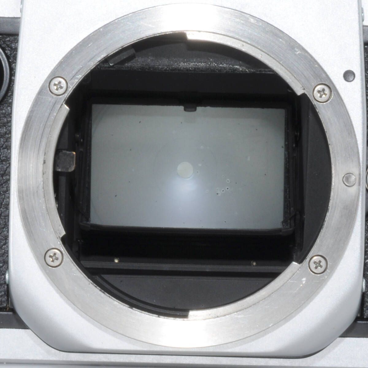  ニコン Nikon F 2 フォトミック フィルムカメラ レザーケース付き M 316 一眼レフカメラ(フィルム) フィルムカメラ