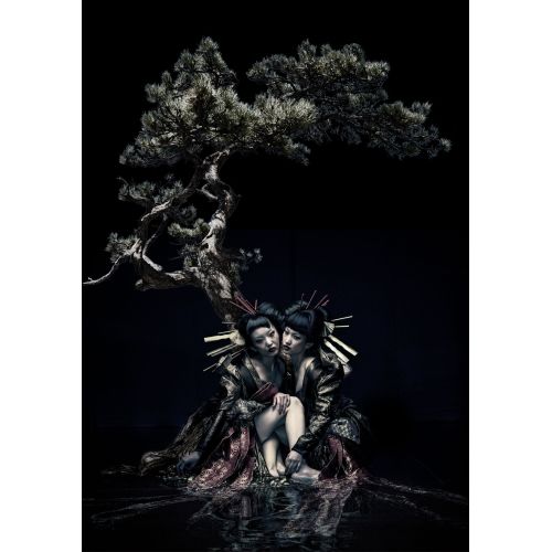 the GazettE LIVE TOUR 12-13【DIVISION】 中古 the GazettE live tour 12-13[DIVISION]FINAL MELT LIVE AT