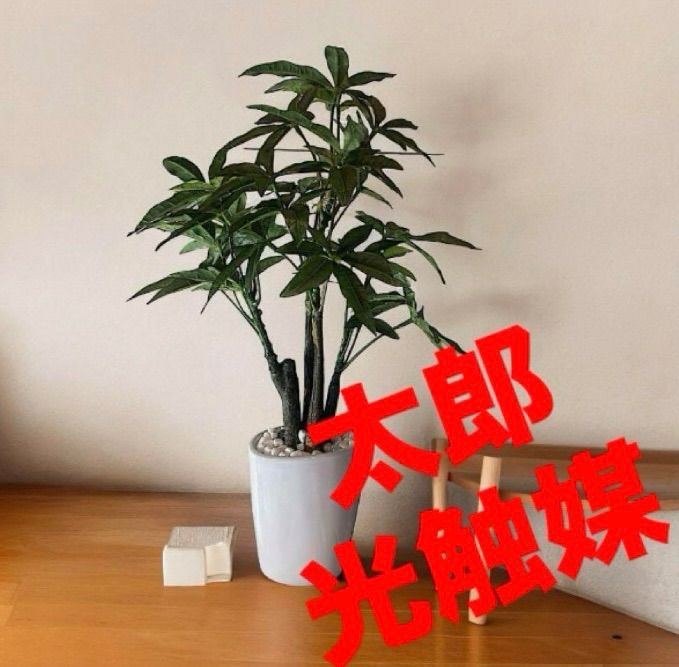 光触媒 人工観葉植物 ウォールグリーン フェイク フラワー パキラ50