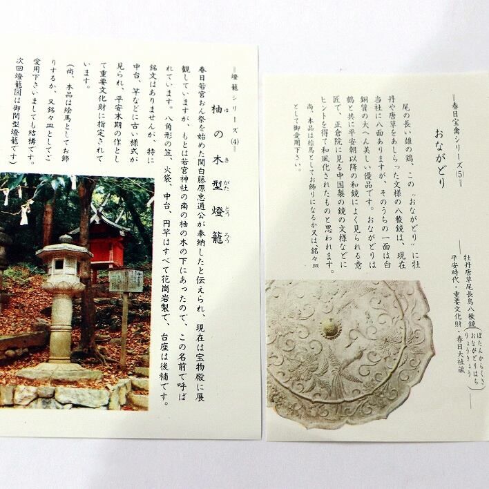 ２０２２年干支『寅』絵皿-お薦め-和食器通販・引き出物・ギフト-普段使いの素敵な和食器-【菖蒲の隠者】 奈良・春日大社 銘々皿・絵馬干支シリーズ 辰