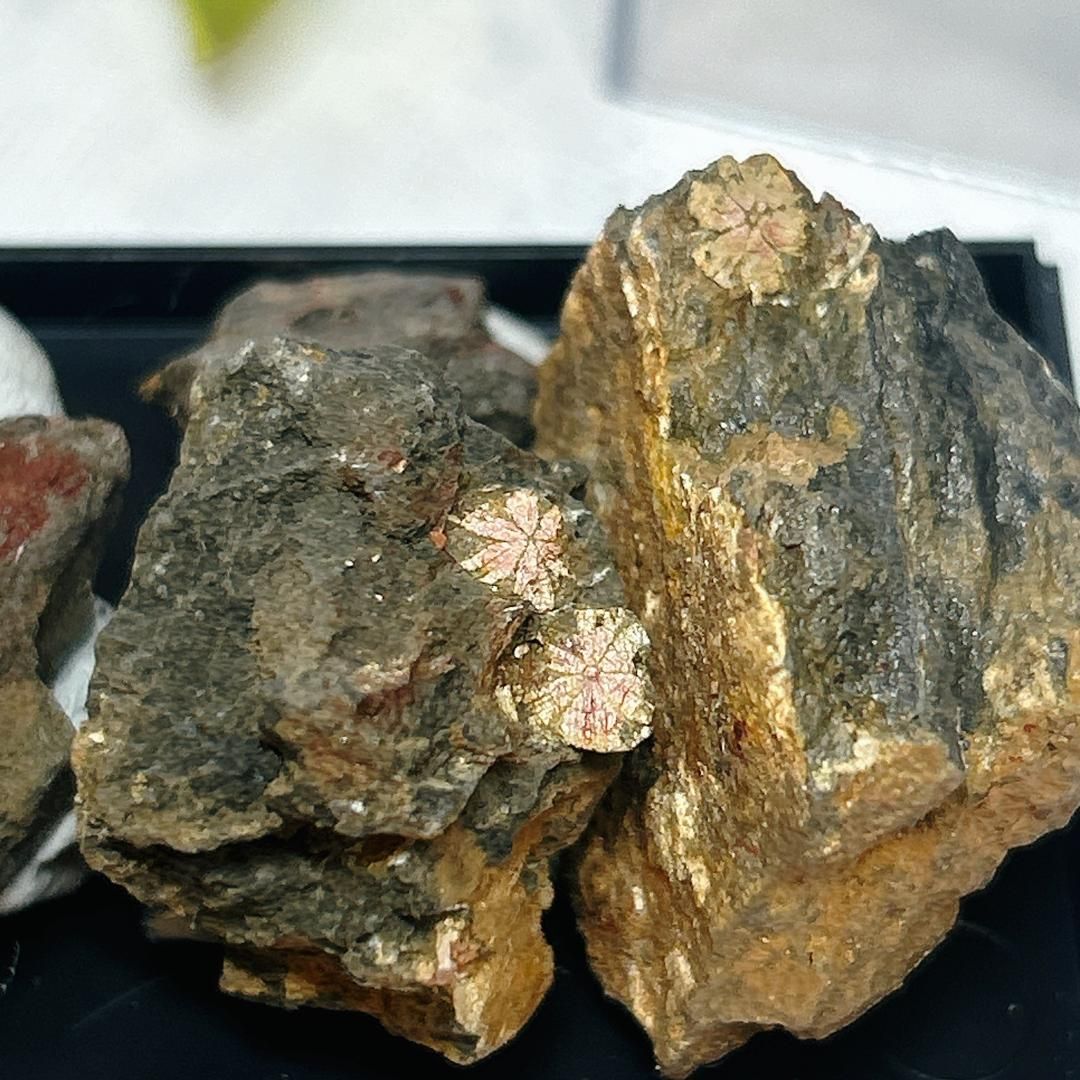 E13799】レア！桜石 さくらいし ピンク 菫青石仮晶 京都 Cherry