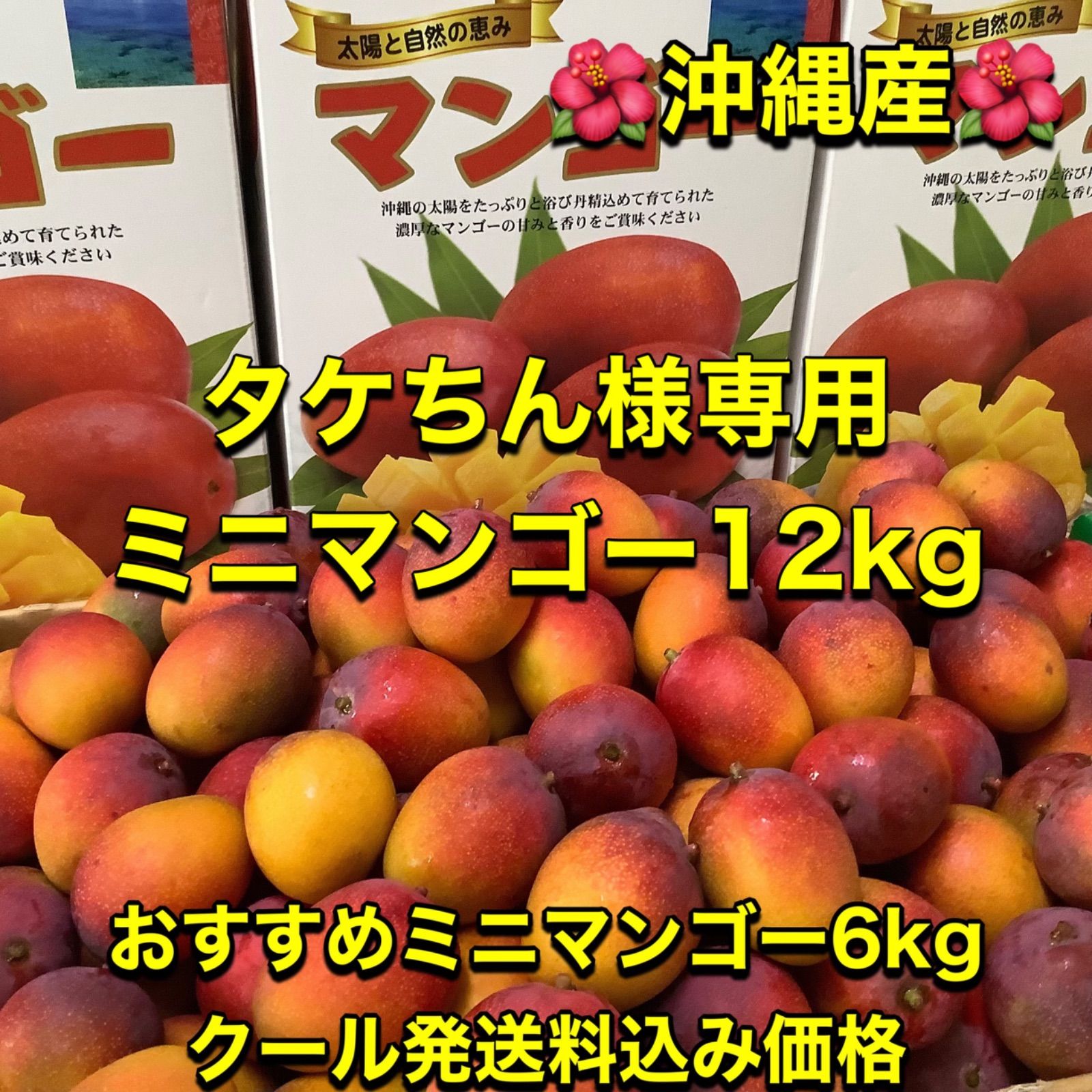 タケちん様専用/沖縄産マンゴー12kg(クール発送) - メルカリ タケちん様専用/沖縄産マンゴー12kg(クール発送) - メルカリ