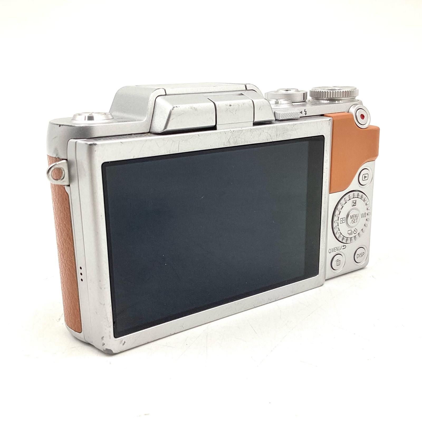 DMC-GF7
