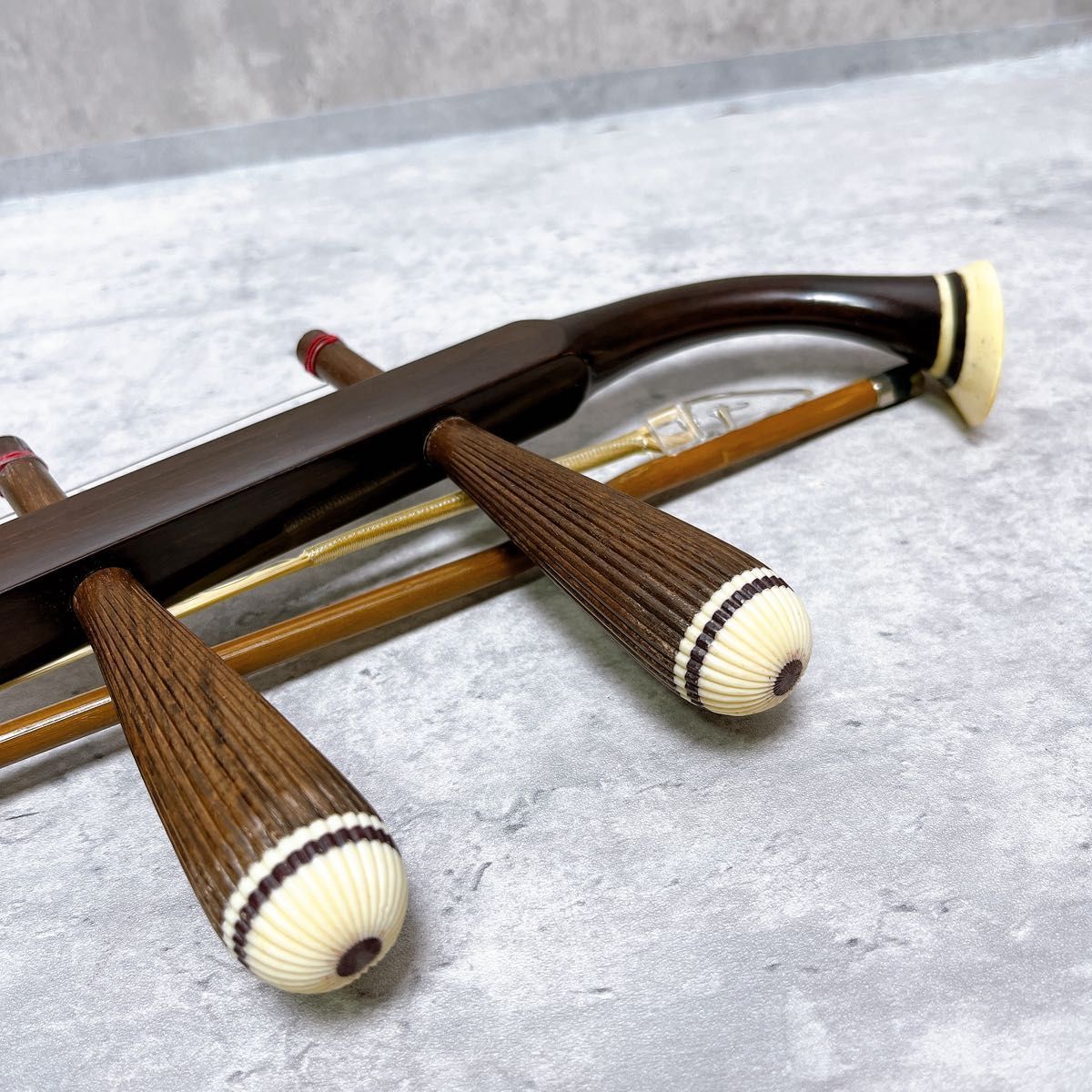 二胡 彩雲 蛇皮 ER-400 琴弦 セミハードケース付 弦楽器 工場 二胡