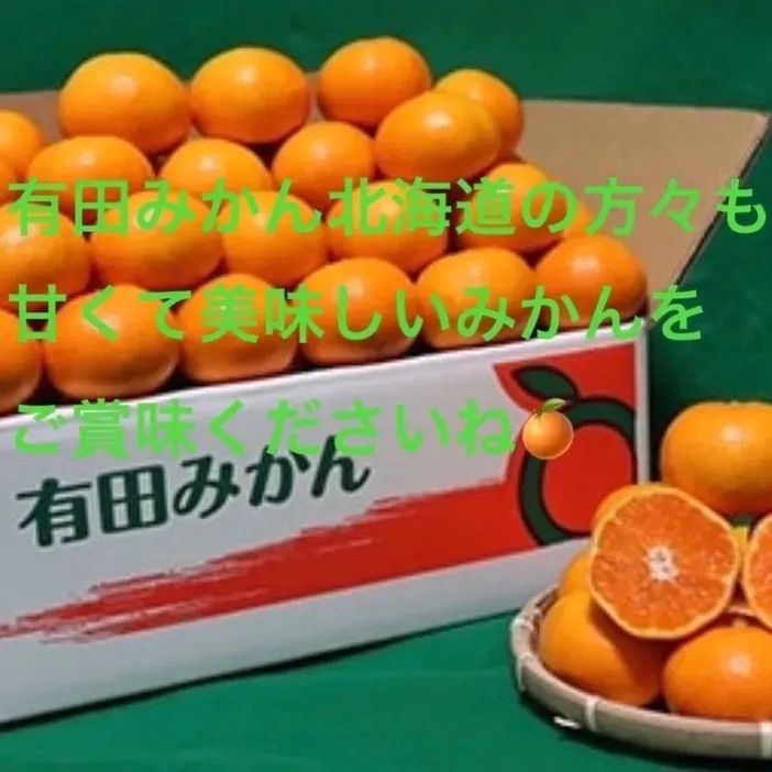 有田みかん🍊2kg Ｂ級品SS〜2L甘くて美味しいよ🥰 味はA級品！！