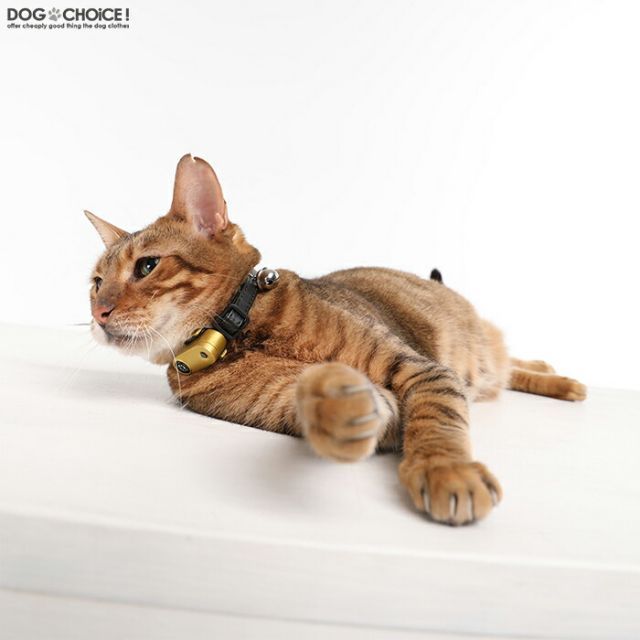 犬猫用ダニ