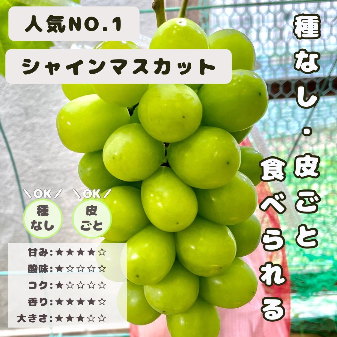 JBD様専用【予約販売】シャインマスカット 入り 岡山県産 ぶどう