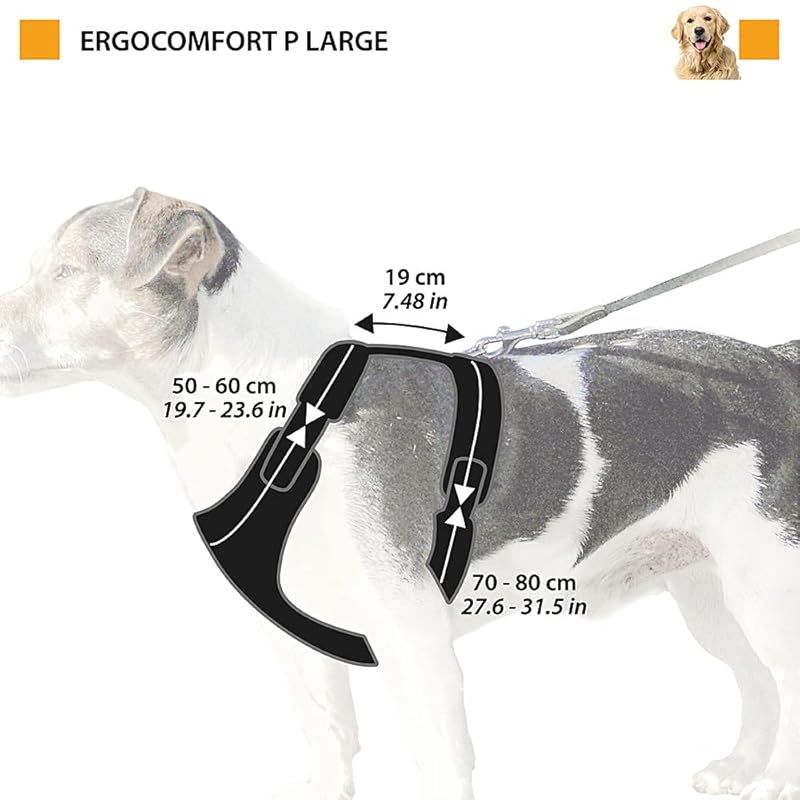 大型犬用 大型犬