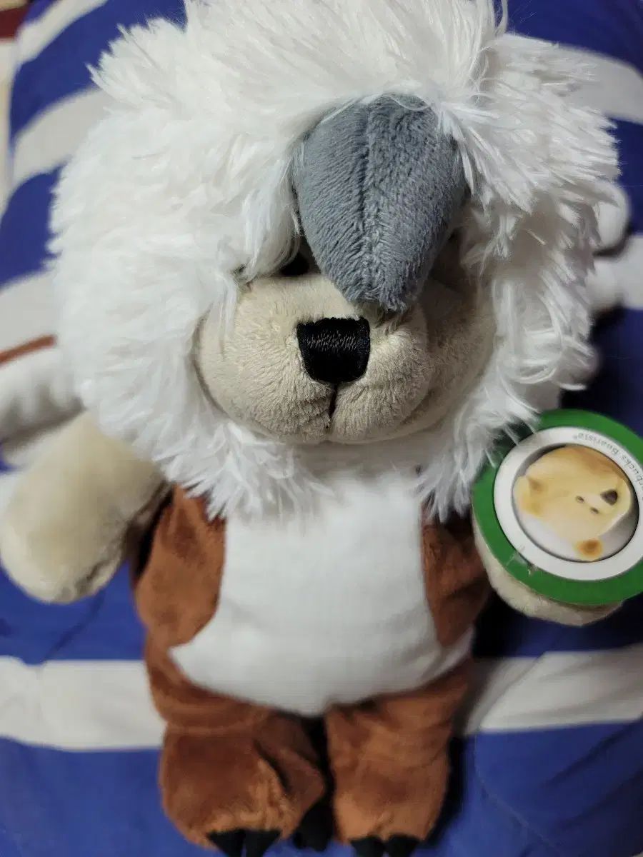 スターバックス ベアリスタ レス eagles