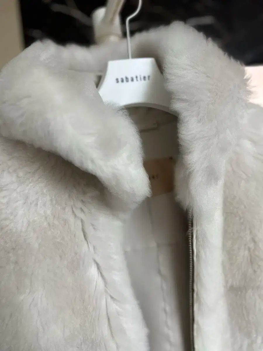 サバティエ ラムズ