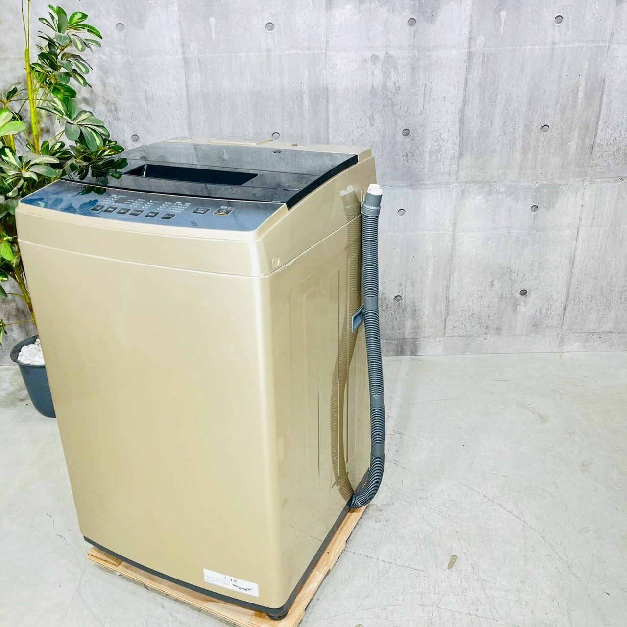 ♦️IRIS OHYAMA a3450 洗濯機 8.0kg 2022年製 9♦️ ?【楽天市場 