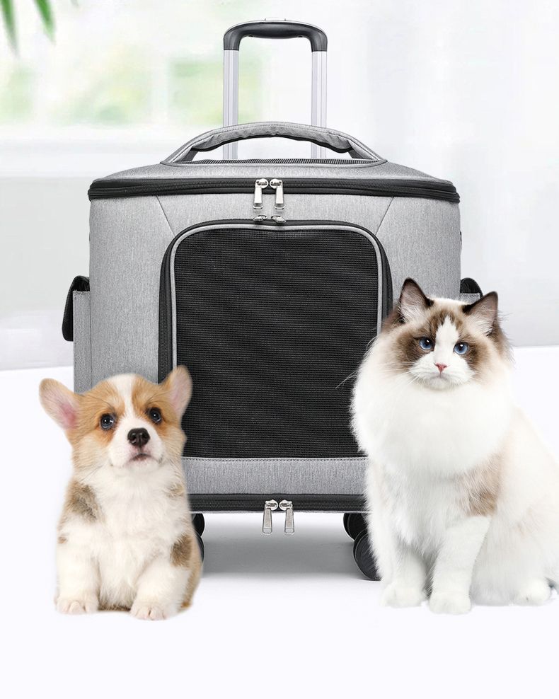 ꫛꫀꪝ✧‧˚九尾の狐オルゴナイト【最強魔除け・厄払い】【災害守り