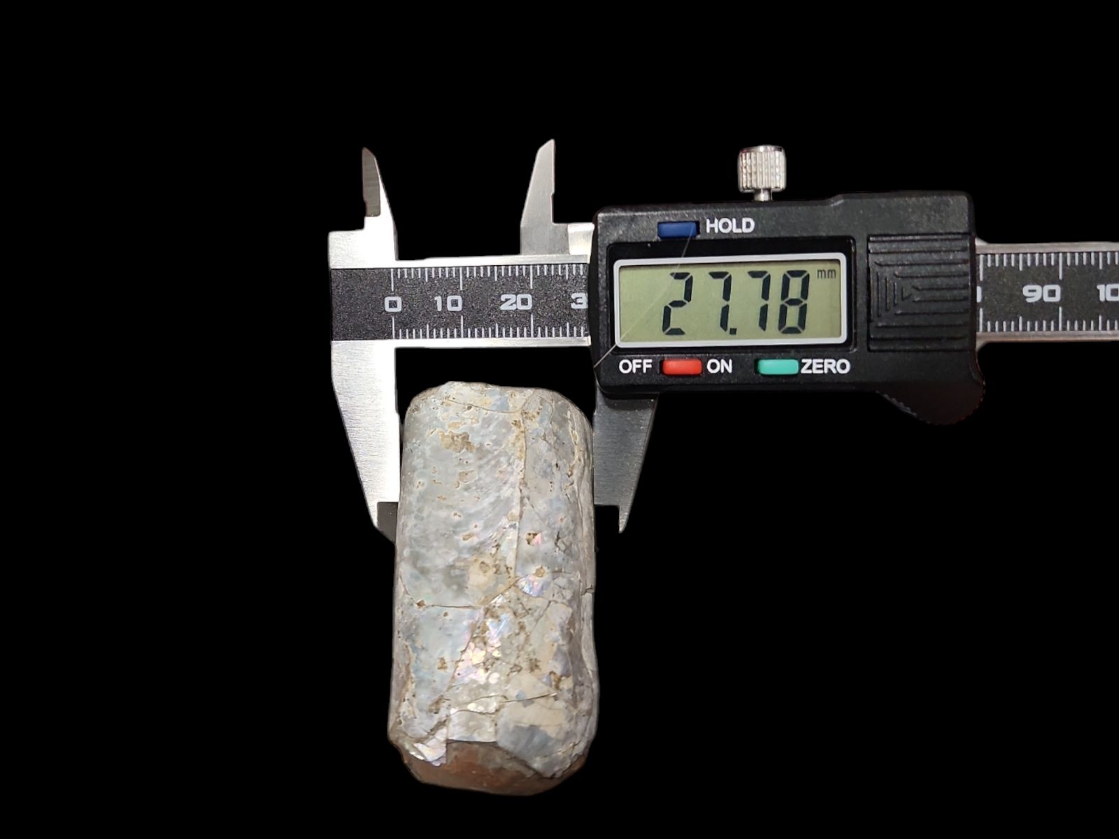 化石 バキュリテス 化石 アンモナイト 貝類 標本 レトロ アンティーク