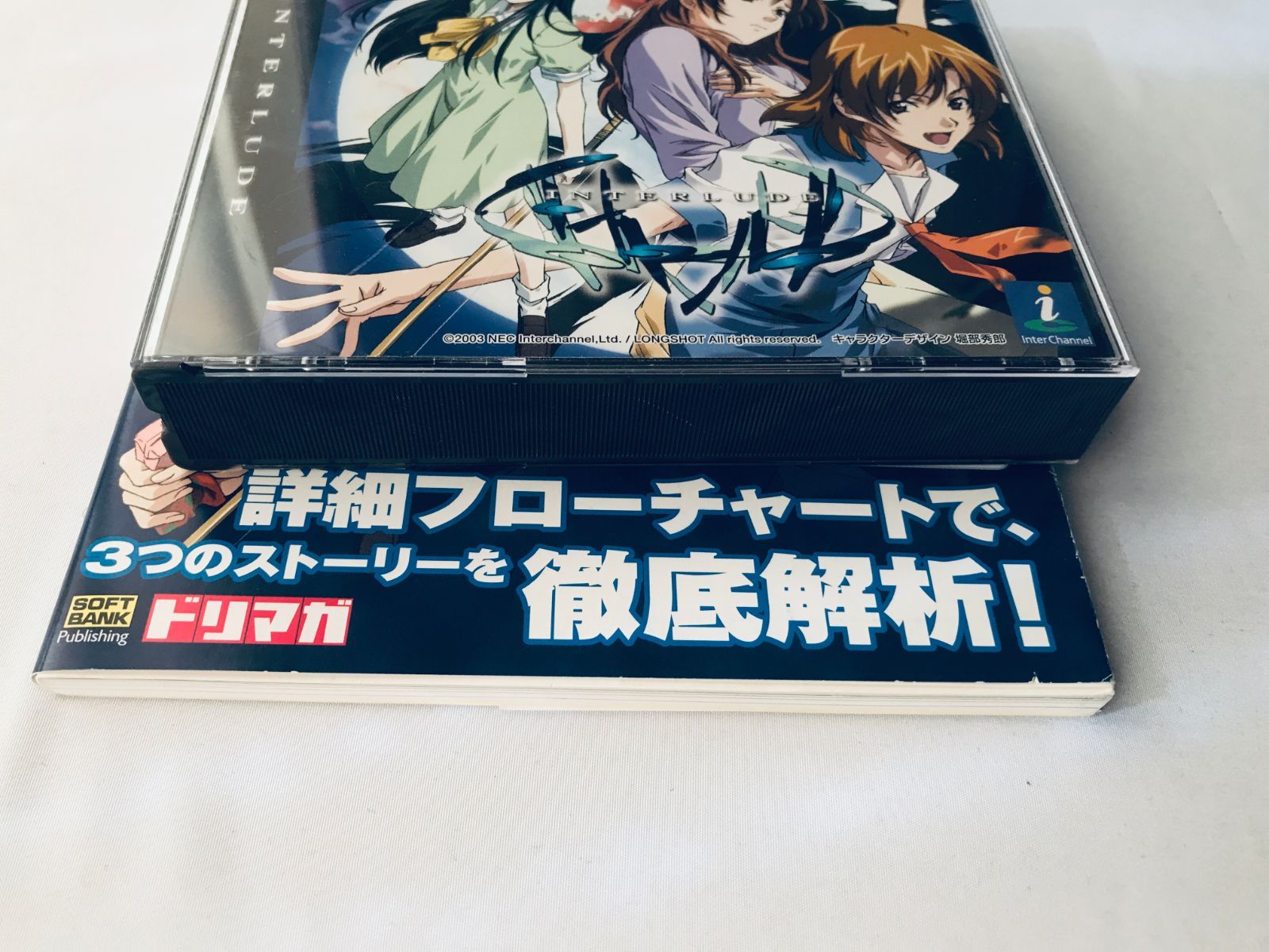 版 公式ガイド