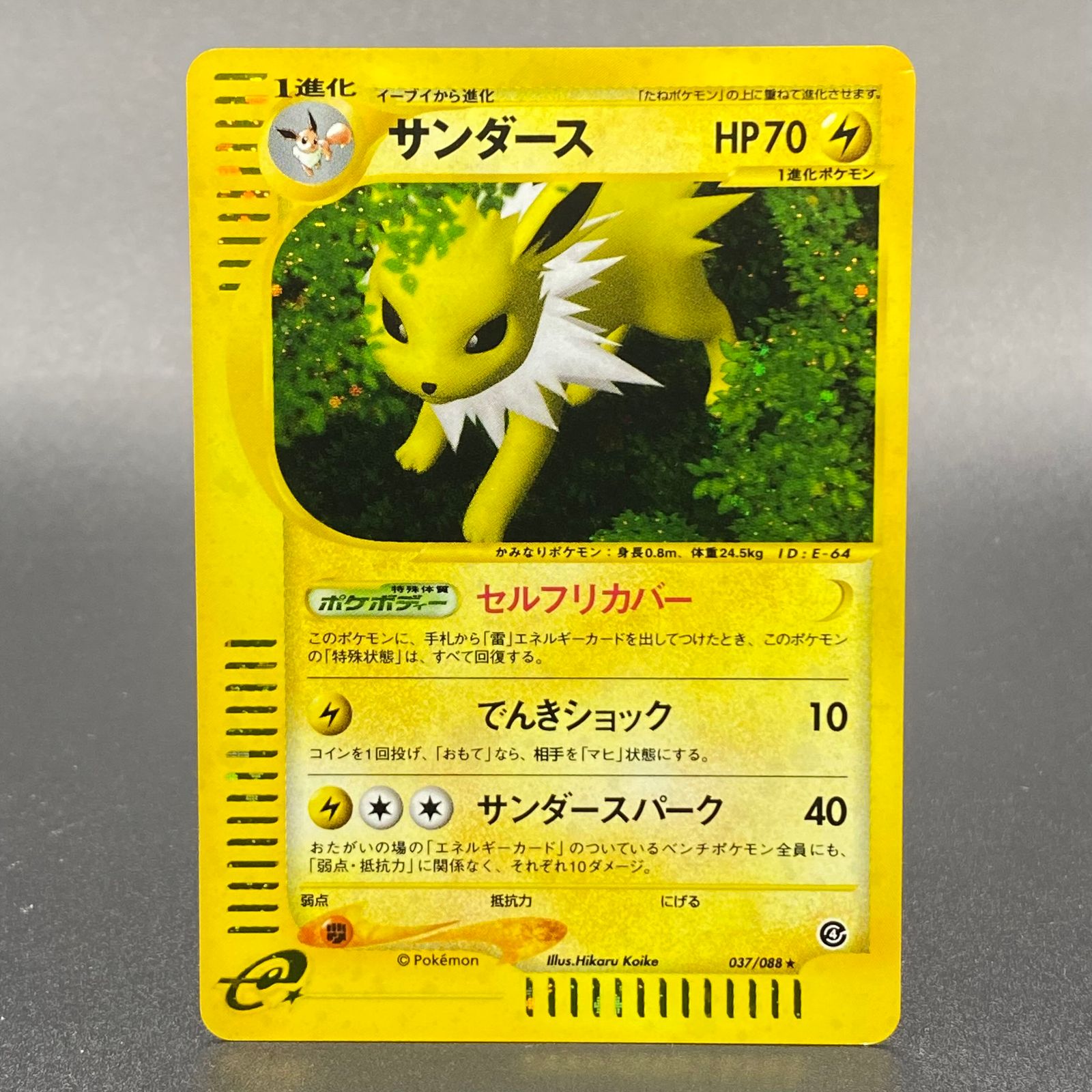 ポケモンカードe サンダース PSA10 【公式通販】