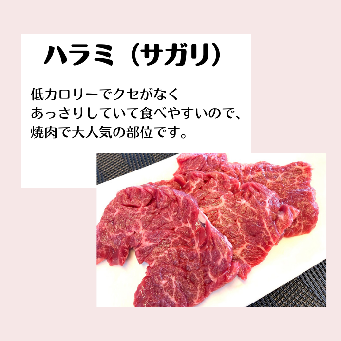 ハラミ（サガリ）500ｇ-2
