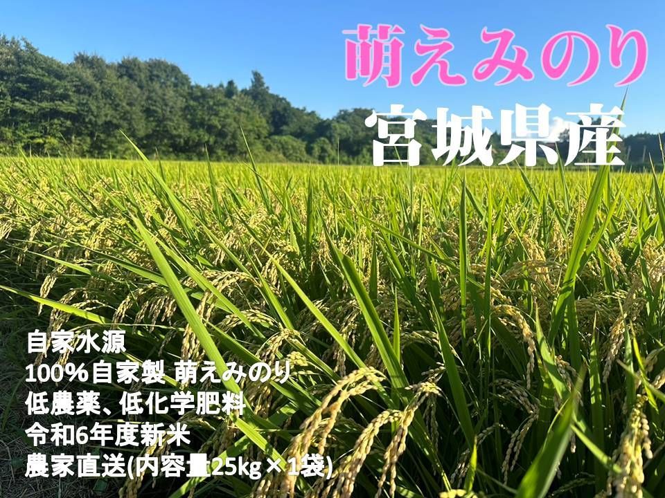 新米 萌えみのり 25kg - メルカリ