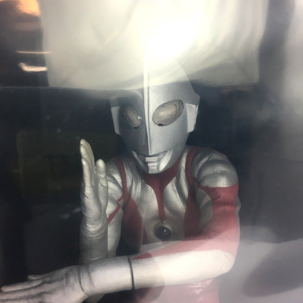 赤