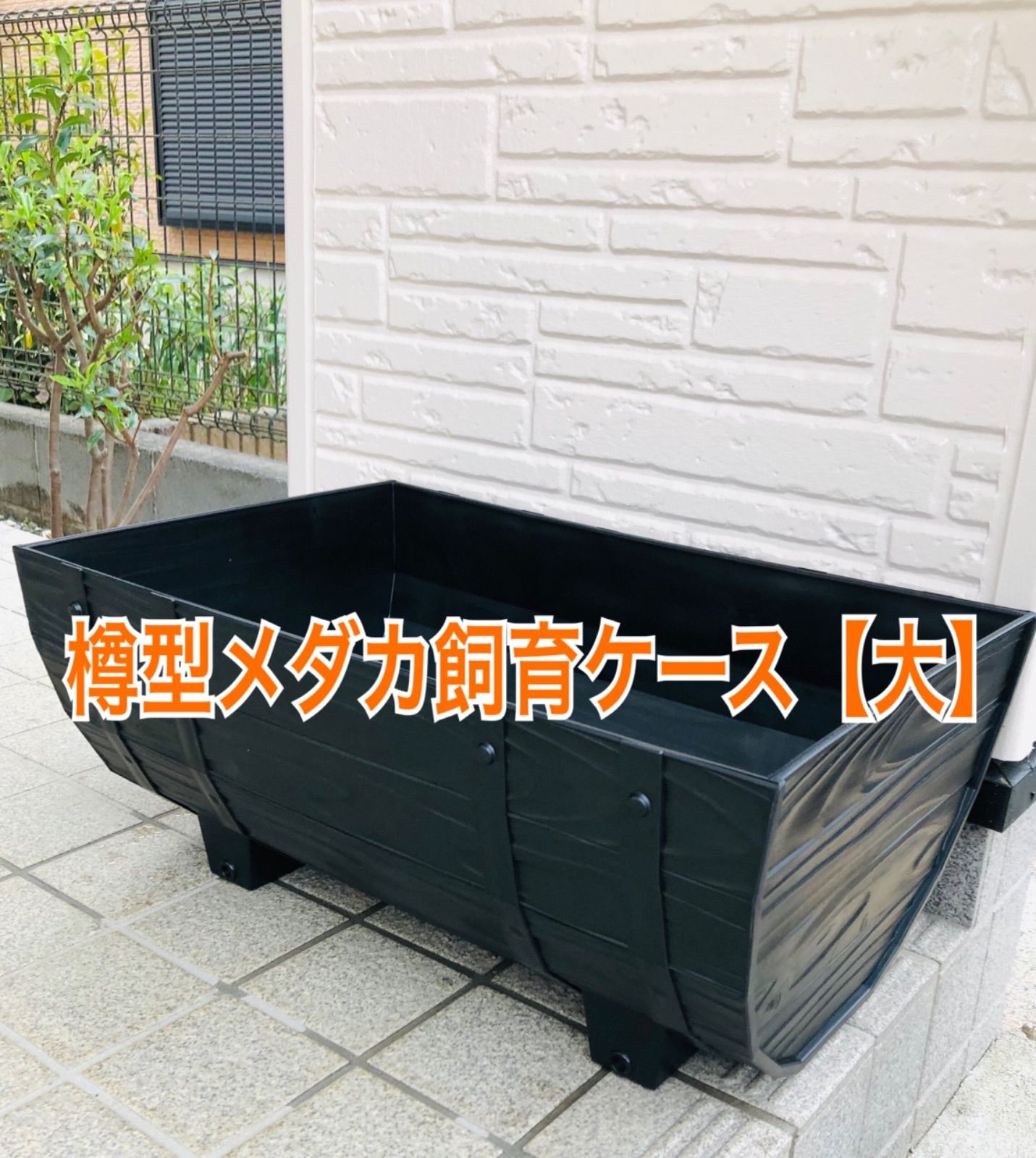 メダカ飼育ラック大（容器付）