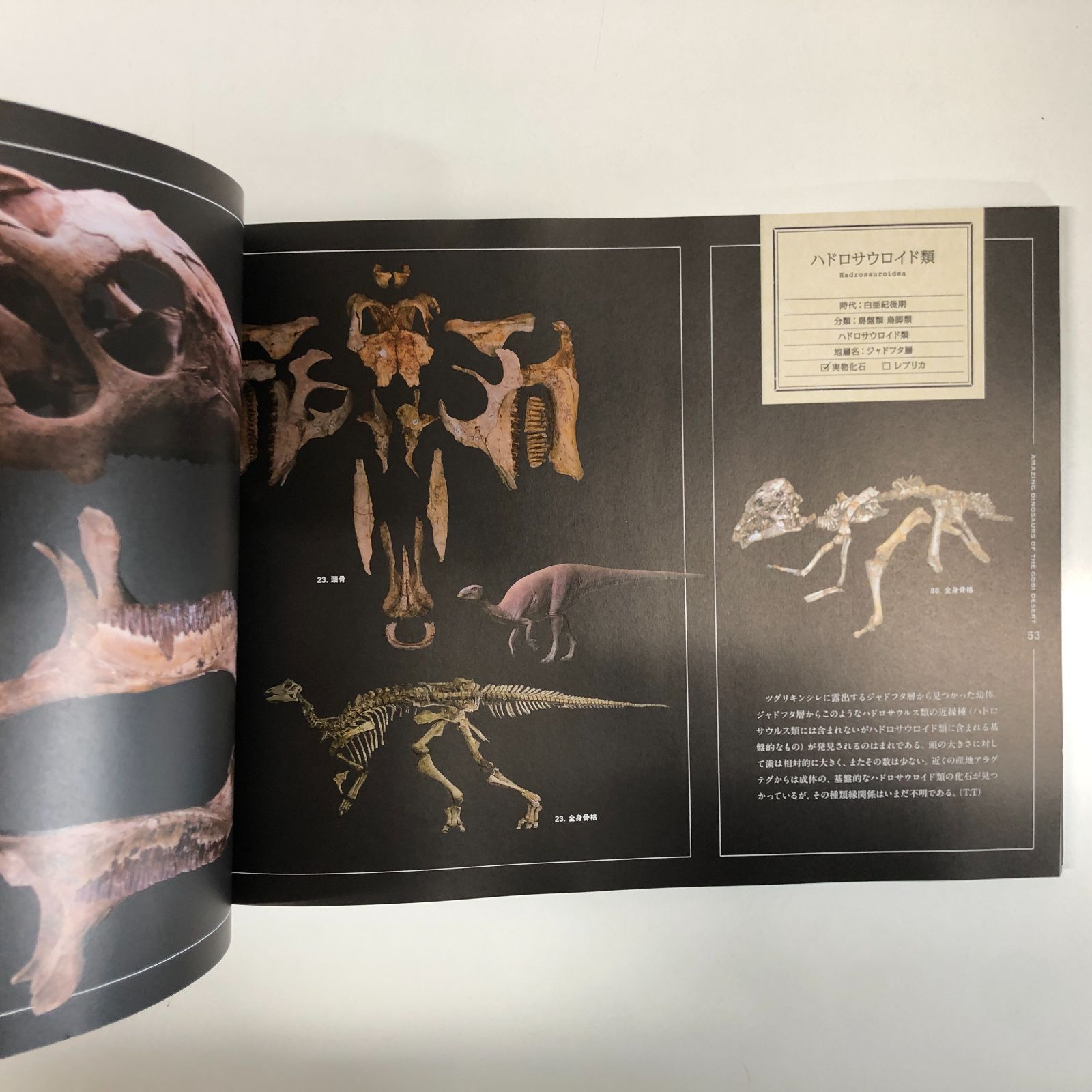 図録 大恐竜展 ゴビ砂漠の驚異 <<P-6-172257370 - メルカリ