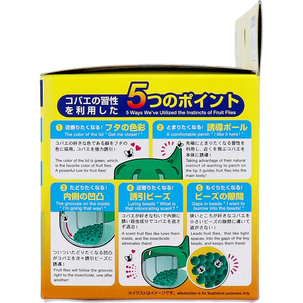 コバエトルポン