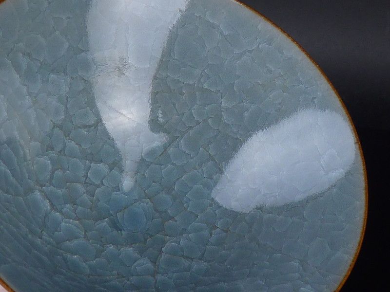 約15cm