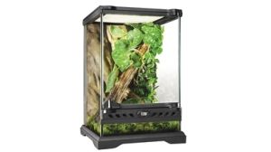 新品・5営業日で発送】GEX(ジェックス) EXOTERRA グラス