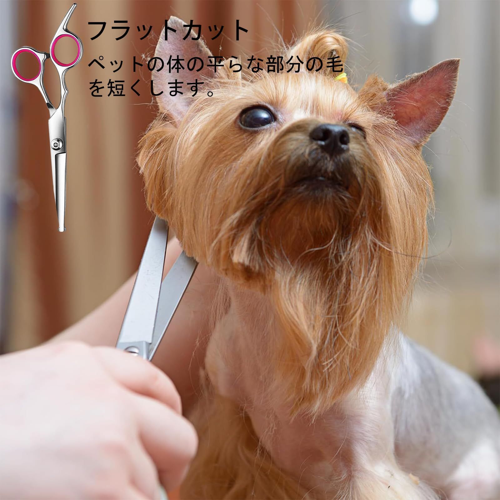 新品未開封】 初心者向け すきバサミ/ストレートバサミ/カーブバサミ  