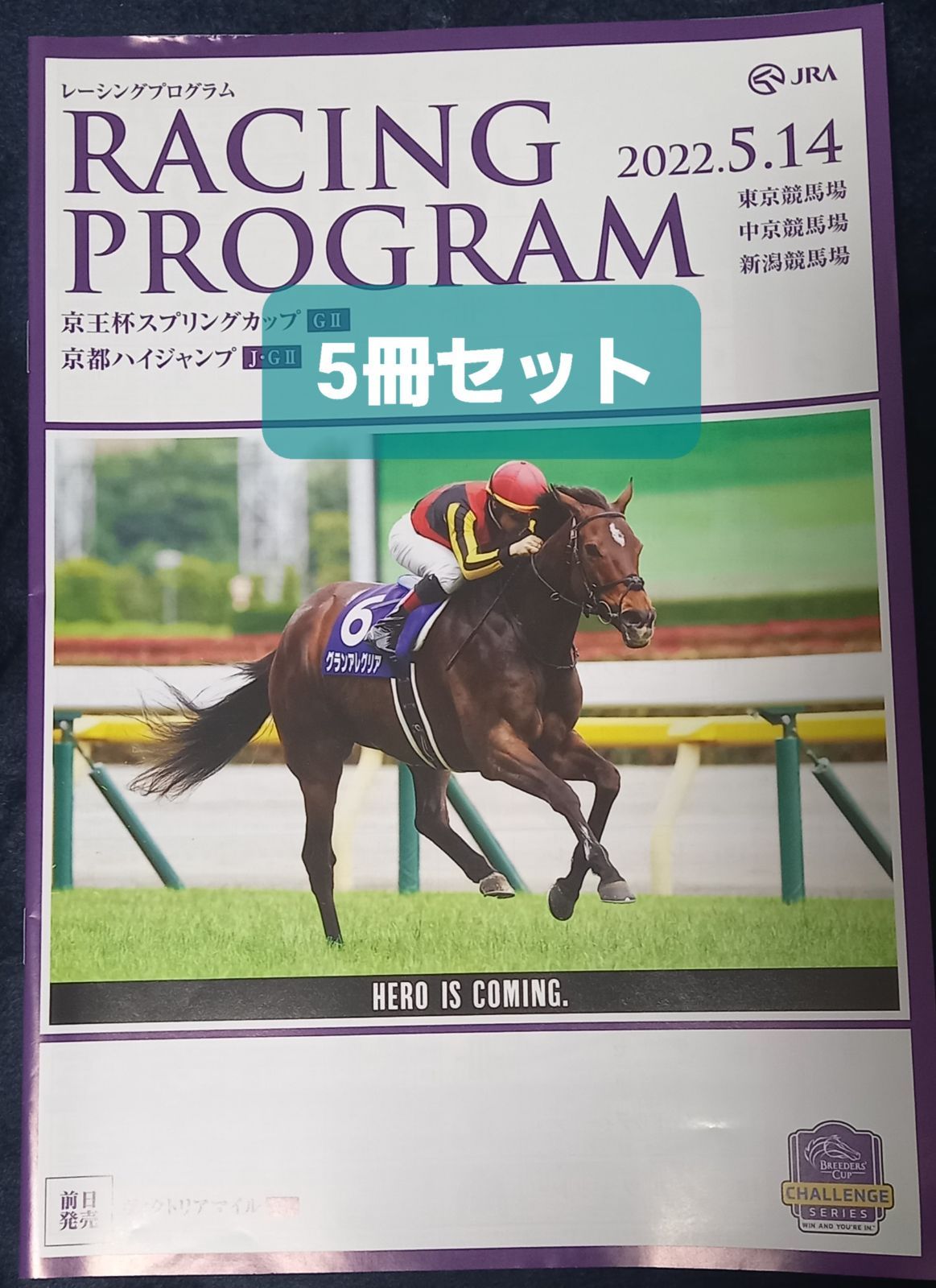 JRAレーシングプログラム ５冊 競馬 - その他