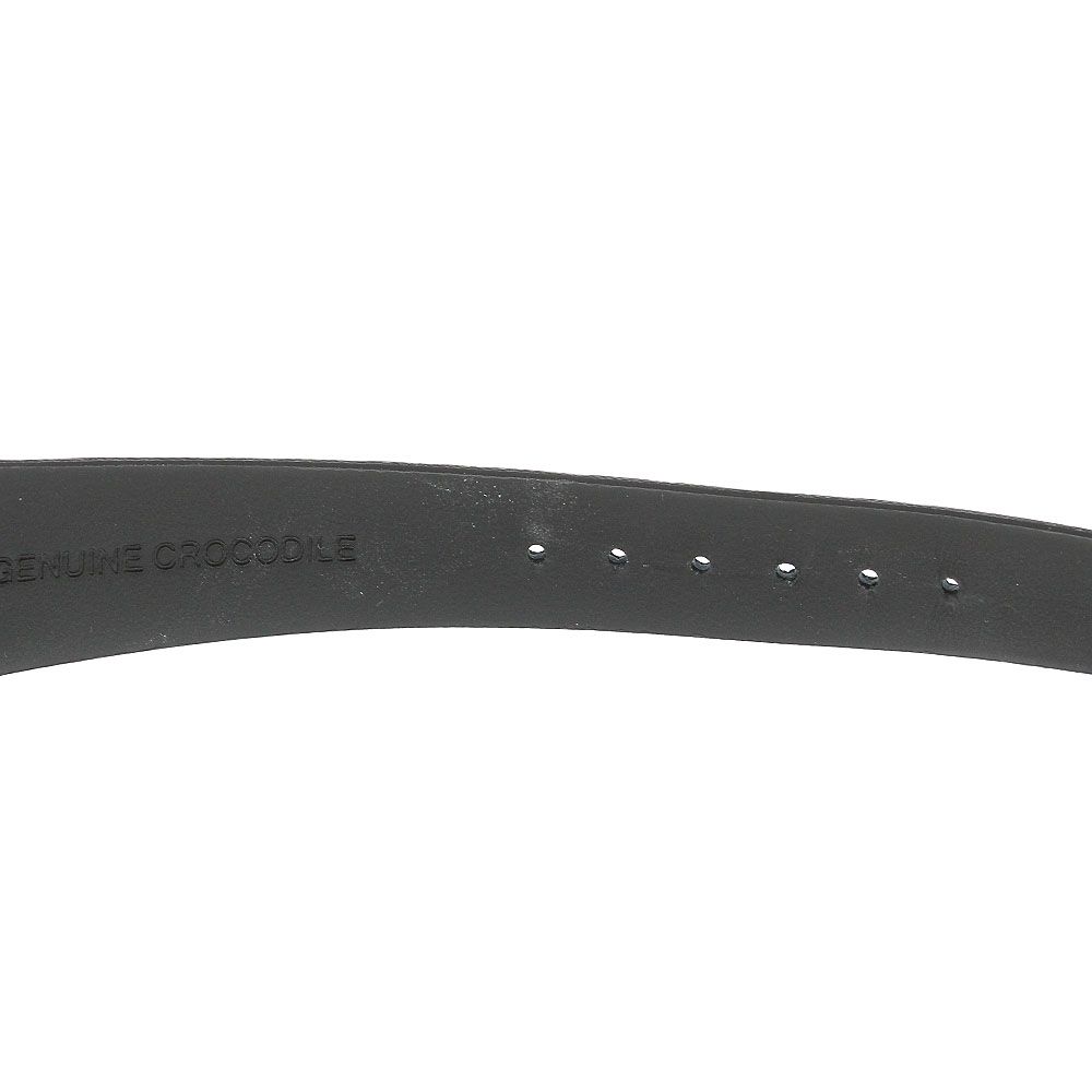 ジャンクシェルマン Shellman 6880T000673TA ワールドタイム・ミニッツリピーター クロワゾネダイアル 世界限定999本