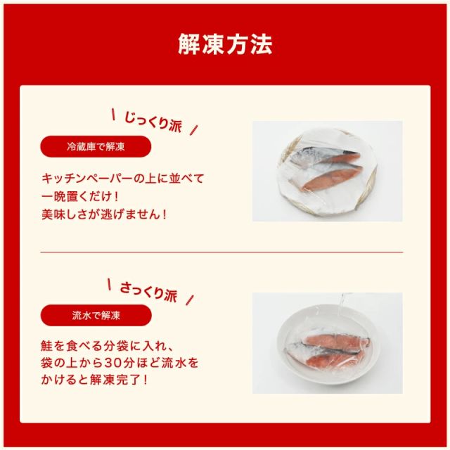 サケ 鮭