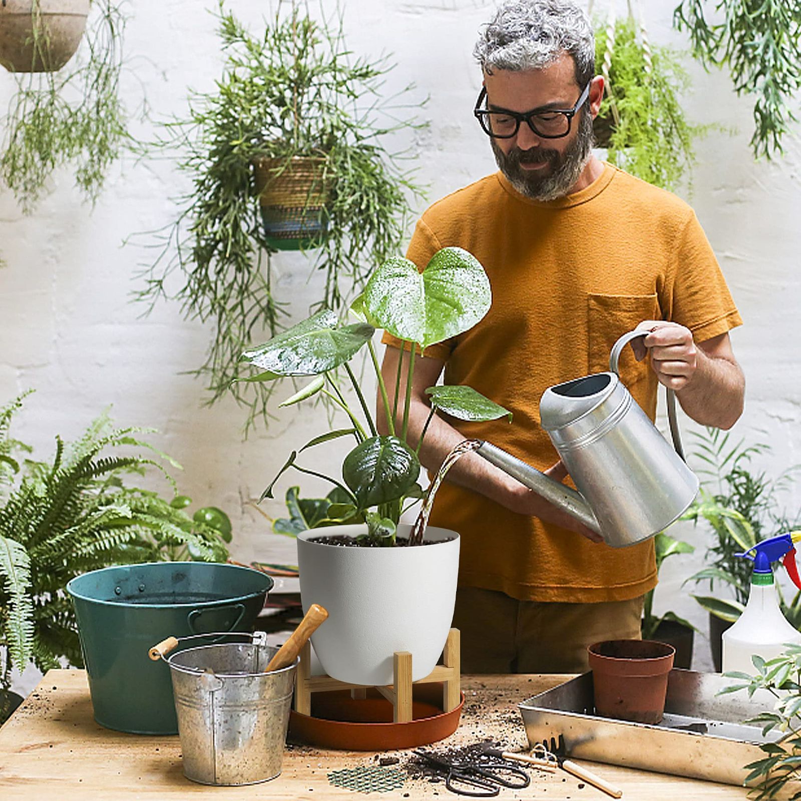 3号鉢プランターダンス