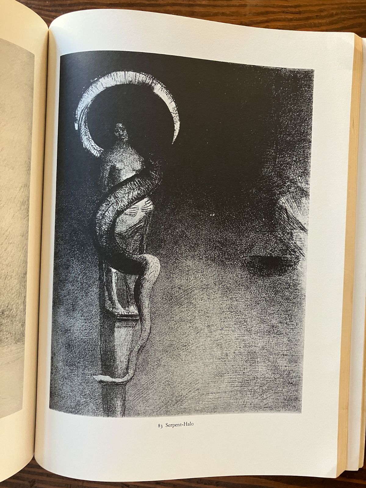 ルドンの版画集 The Graphic works of Odilon Redon - メルカリ