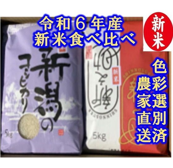 新米・令和6年産 新潟 新之助 白米5kg × 4個☆農家直送☆