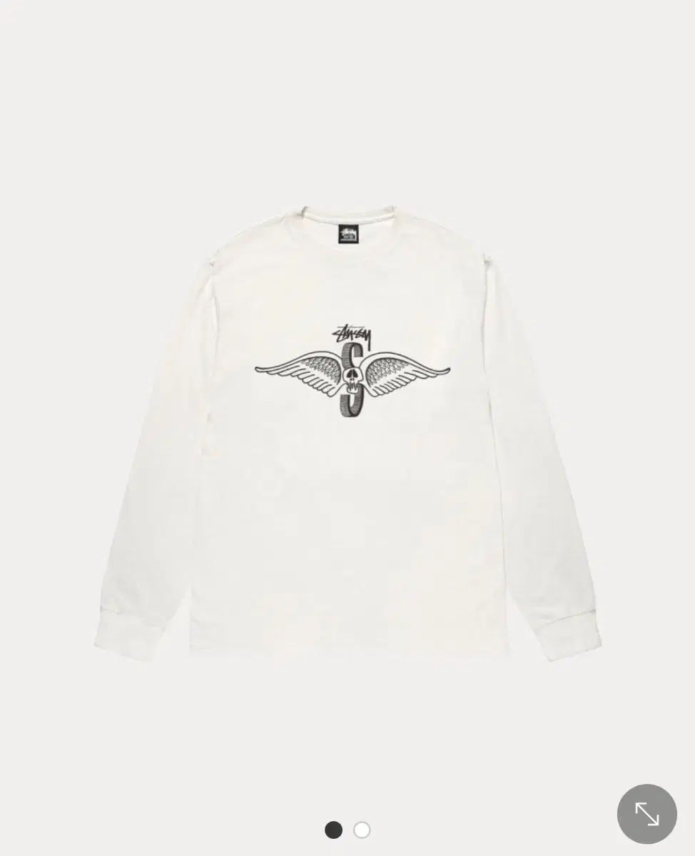 STUSSY ステューシー スカルウィング 長袖 ロングスリーブ