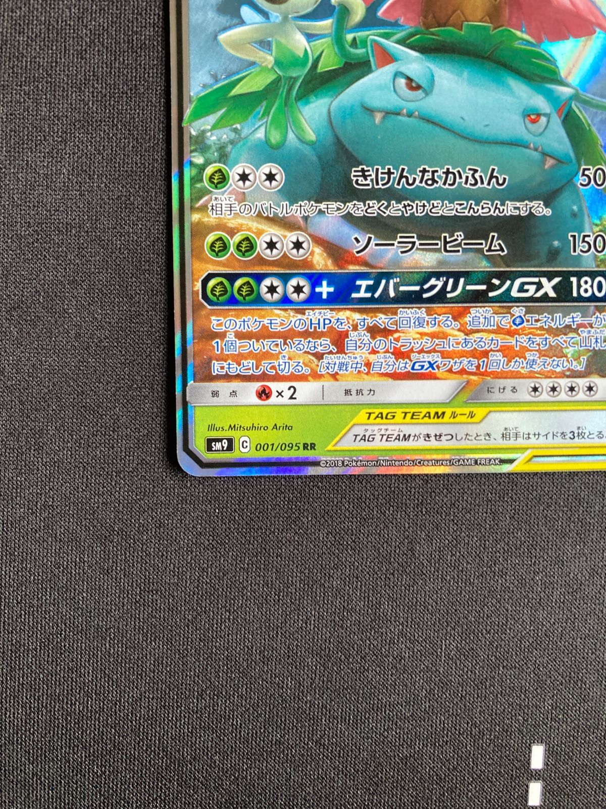 【PSA10】 セレビィ&フシギバナGX RR 連番 PSA10 セレビィ&フシギバナGX フシギバナ&ツタージャGX RR 連番