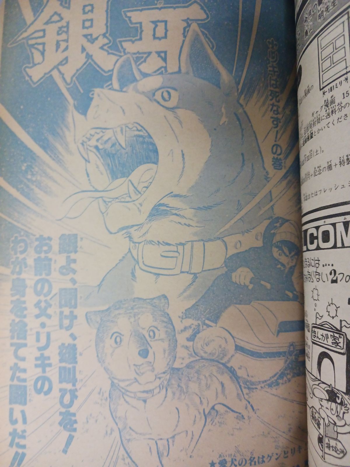 s*o様 キャプテン完全版全18巻完結セット ちばあきお【全巻初版発行】