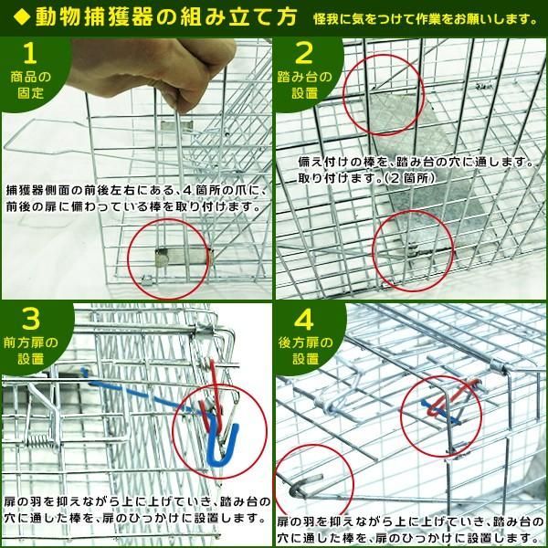 動物捕獲器 300ｘ380ｘ900 ｍｍ 小動物 キャッチャー (大) アニマルトラップ トラップゲージ 罠 折りたたみ 害獣 駆除 ロックタイプ -  メルカリ