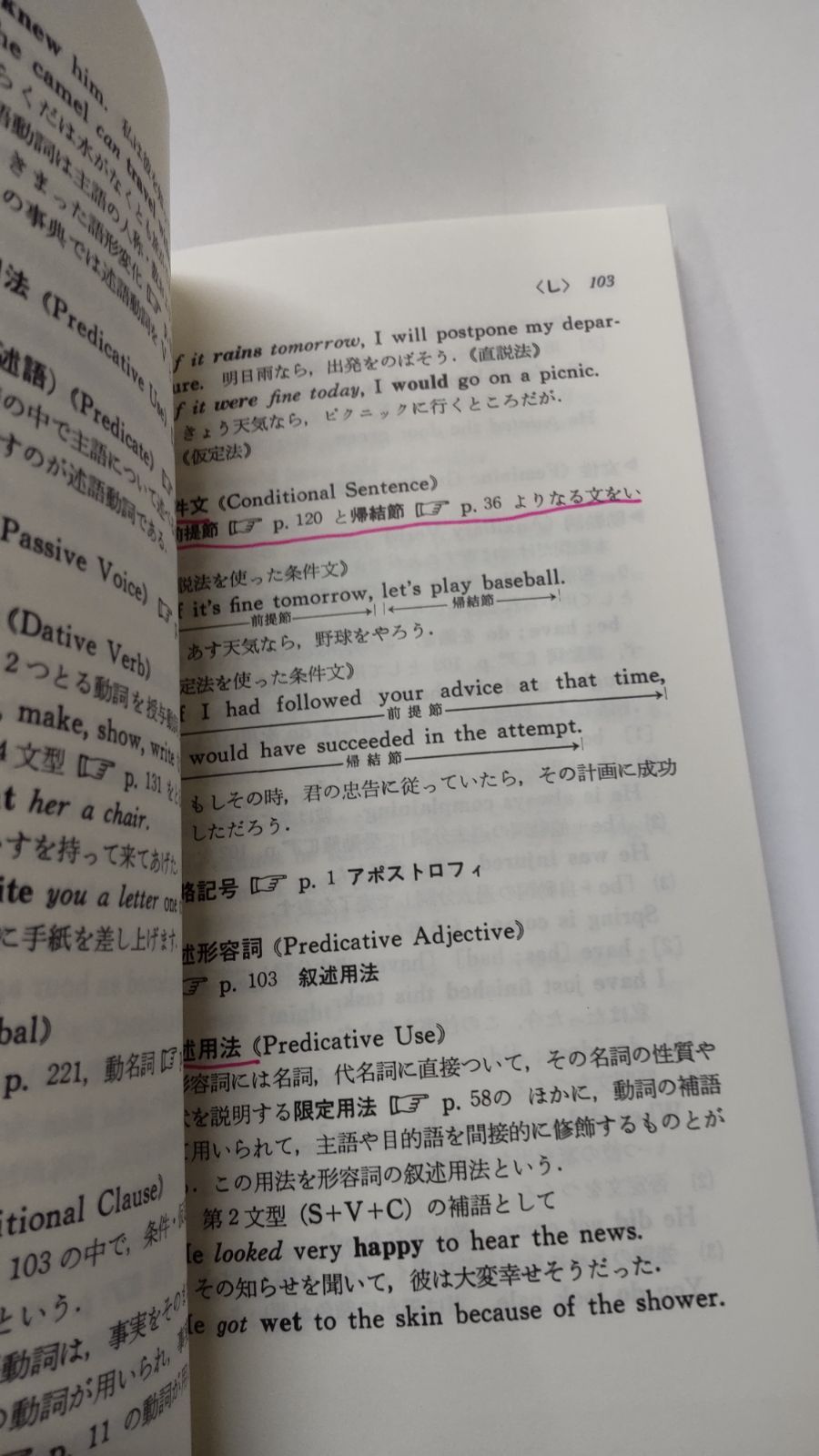 英文法用語事典　駿台文庫