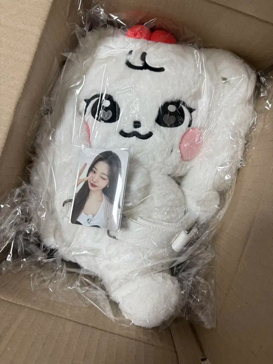 ウォニョン チェリー ハグバッグ minive popup ハグバッグ