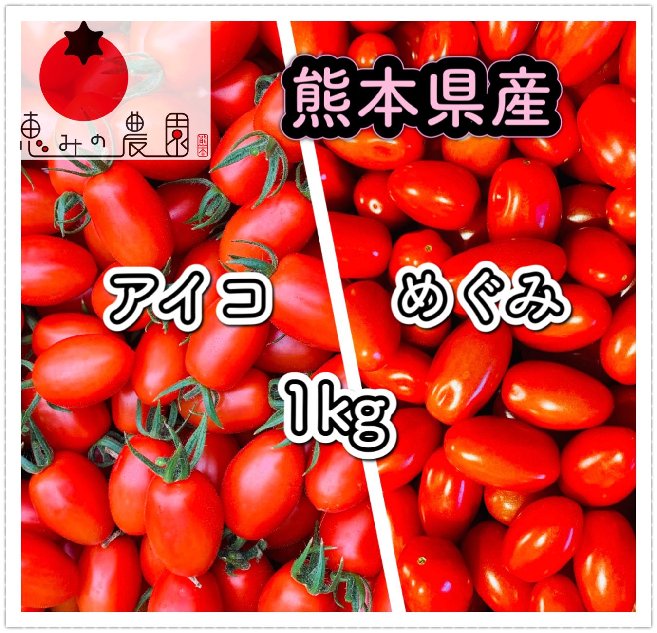 熊本県産ミニトマト＊アイコトマト・めぐみトマトMIX 1kg - トマト農家