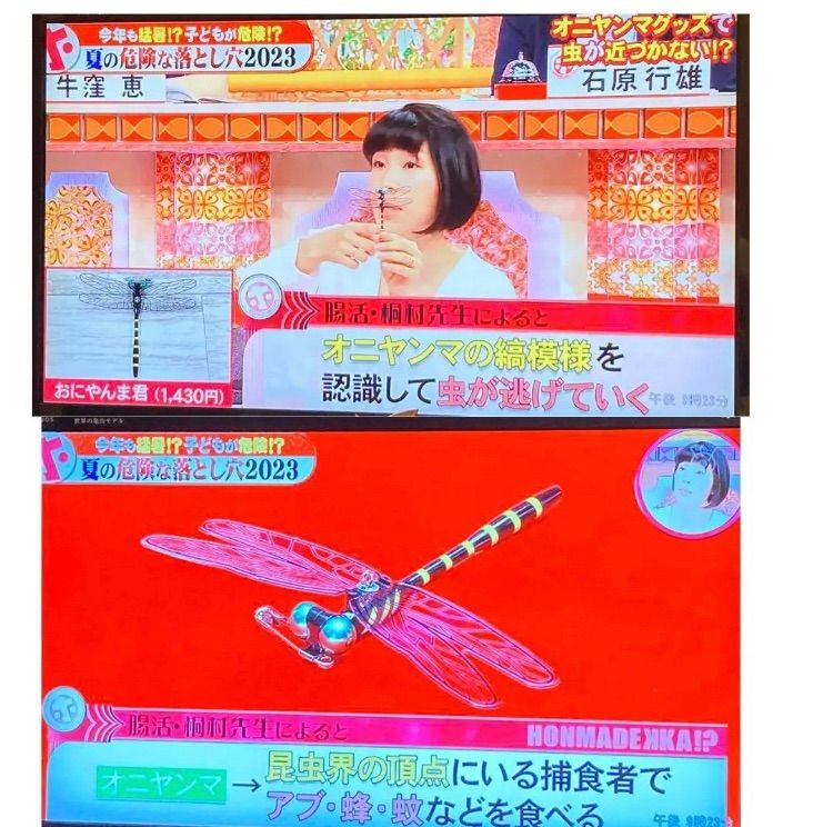超リアル　12cm オニヤンマ　おにやんま　オニヤンマ君　オニヤンマくん　とんぼ　虫除け