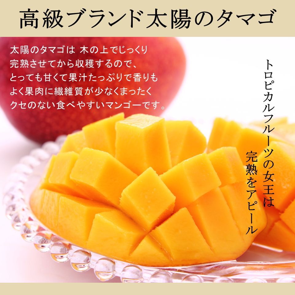 ギフト マンゴー