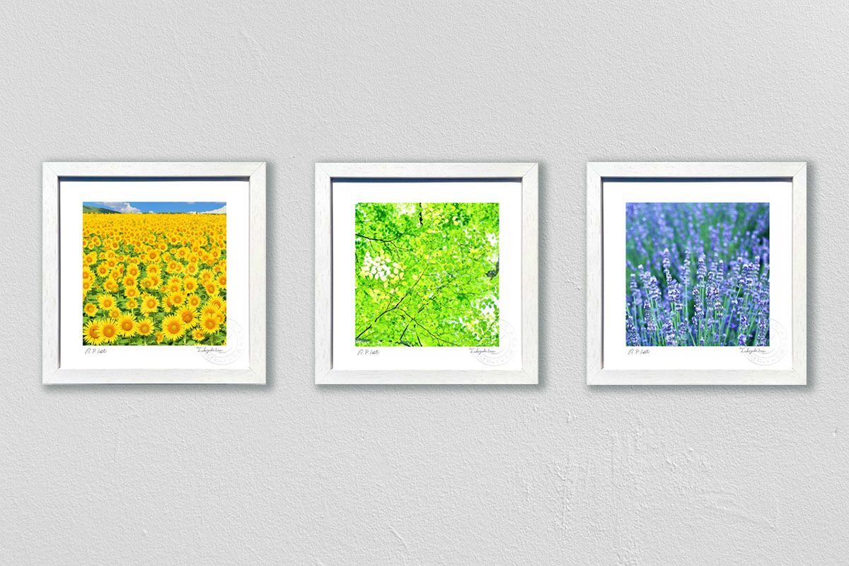 版画 絵画 インテリア 夏の色 3枚セット 額入り 額装込 風景画 油絵 ポスター アートパネル リビング 玄関 プレゼント モダン アートフレーム 飾る Sサイズ おしゃれ 壁掛け 絵