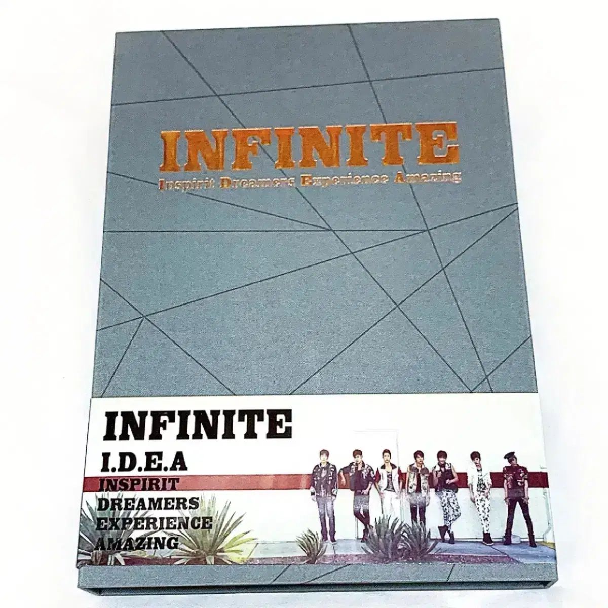 販売 INFINITE(インフィニット) IDEA DVD INFINITE 写真集 IDEA