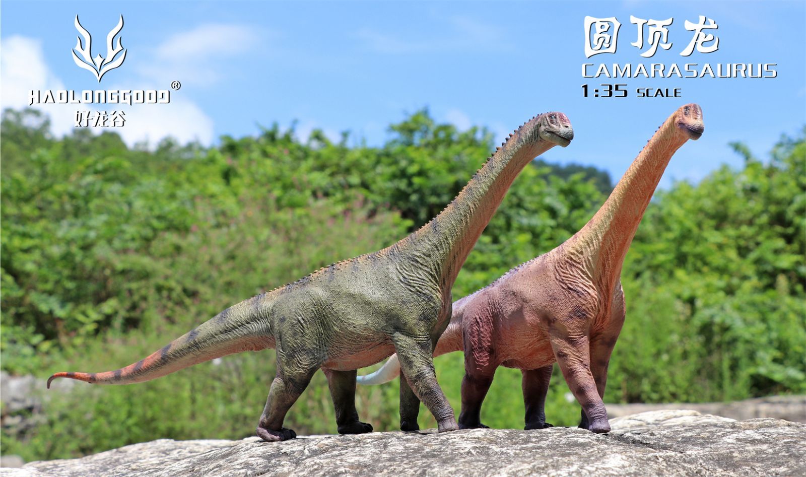 HAOLONGGOOD 1/35 サイズ カマラサウルス 45cm級 PVC CE認証 塗装済