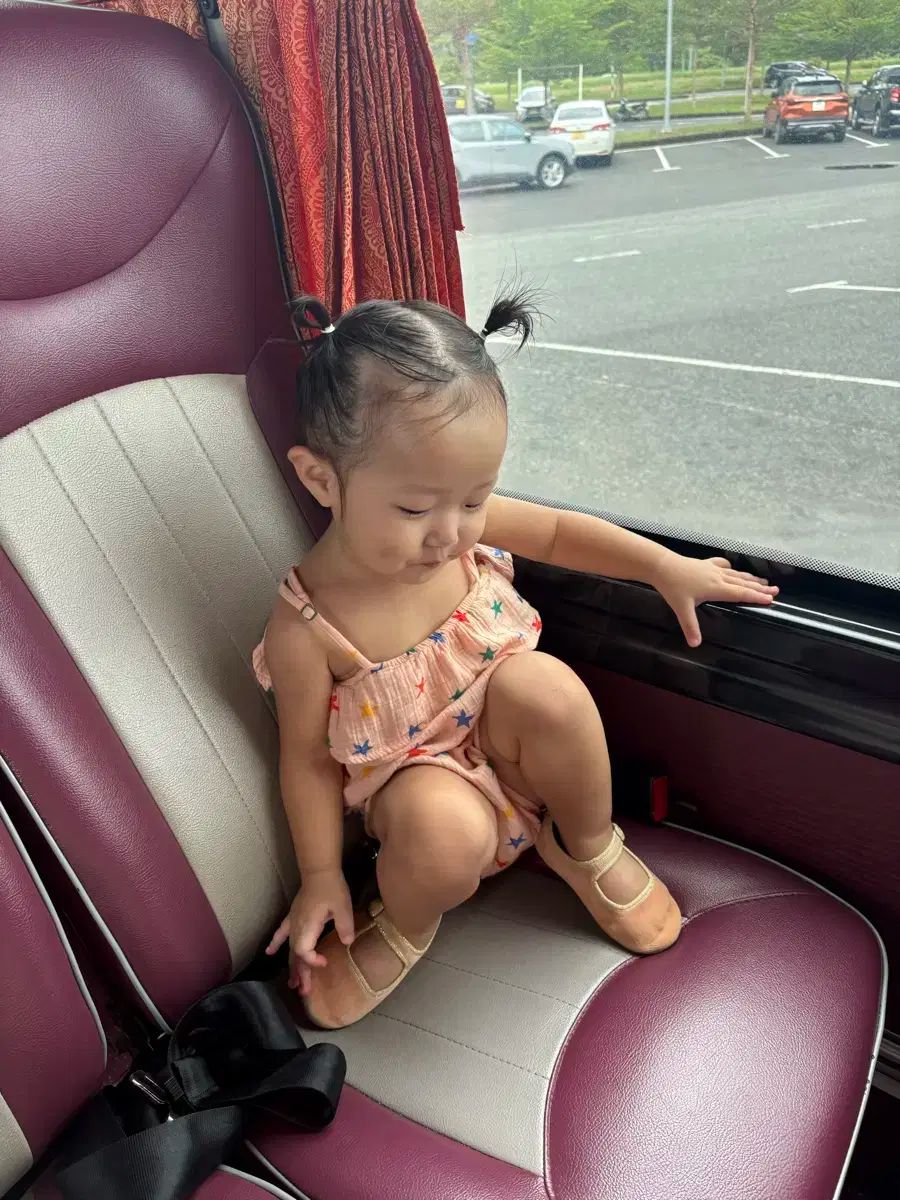 ボディイスト 12